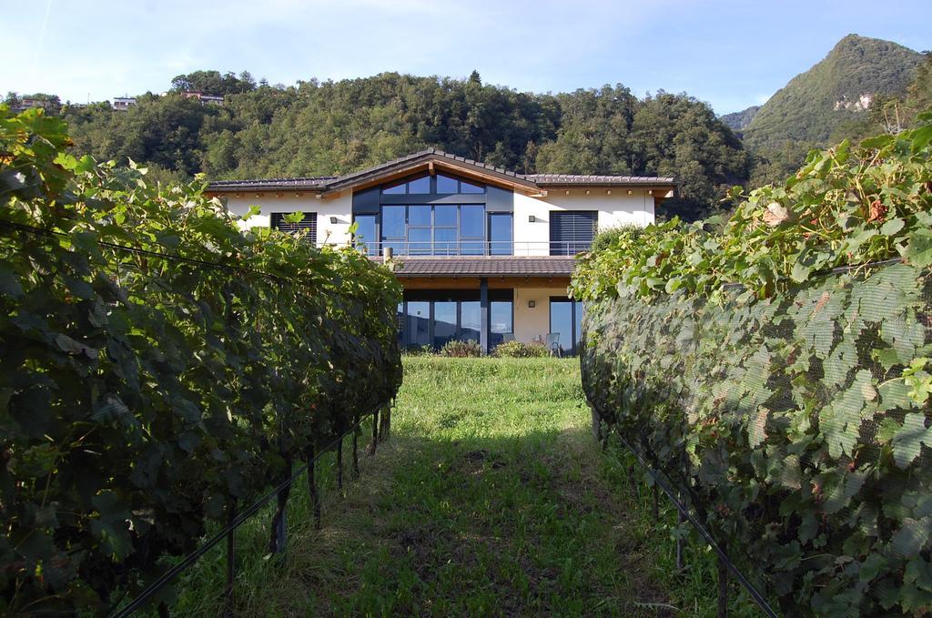 B&B Il Vigneto Melano Eksteriør bilde